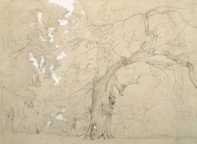 A Young Man in Front of a Big Oak by Jean Baptiste Camille Corot